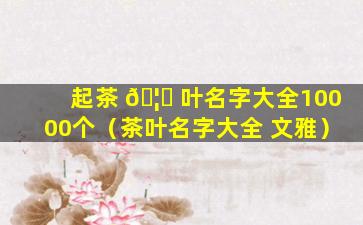 起茶 🦆 叶名字大全10000个（茶叶名字大全 文雅）